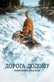 Дорога додому: Неймовірна подорож